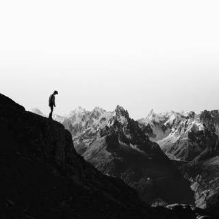 Playlist covers wallpaper