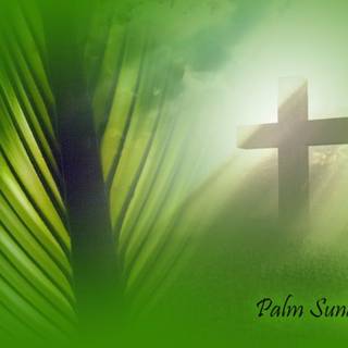 Easter Palm Sunday wallpaper