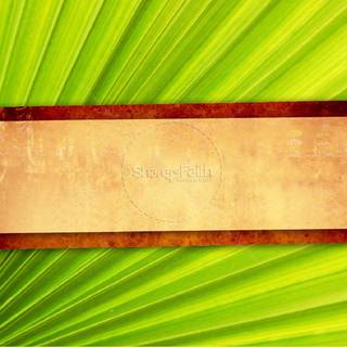 Easter Palm Sunday wallpaper