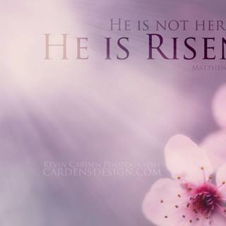 Easter Risen wallpaper