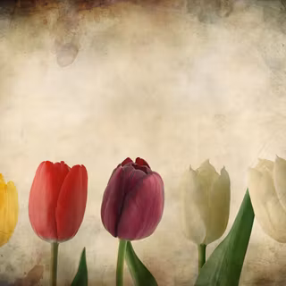 Grunge spring wallpaper