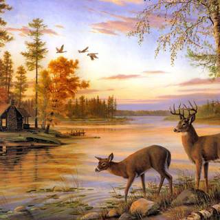 Deer art wallpaper