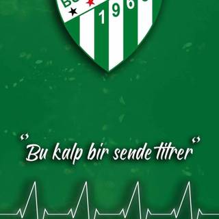 Bursaspor wallpaper