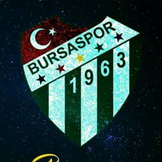 Bursaspor wallpaper