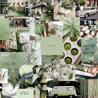 Green aesthetic collage desktop wallpaper