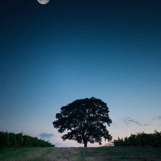 NASA iPhone 11 wallpaper