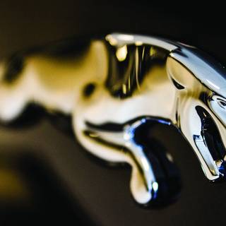 Company logo wallpaper