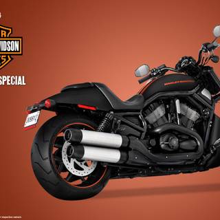 Harley Davidson Night Rod wallpaper