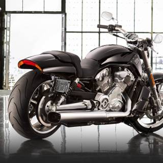 Harley Davidson Night Rod wallpaper