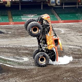 El Toro Loco wallpaper