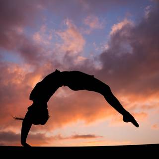 Gymnastics logo wallpaper