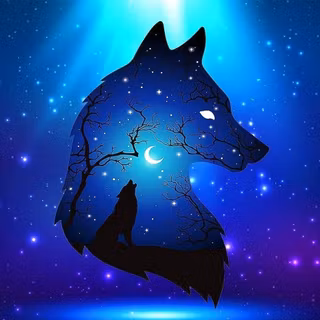 Black and blue wolf wallpaper