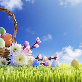 Spring basket wallpaper