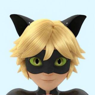Cat Noir anime wallpaper