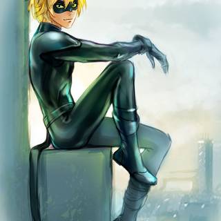 Cat Noir anime wallpaper