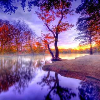 Nature for laptop wallpaper