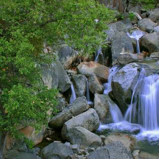 Nature for laptop wallpaper