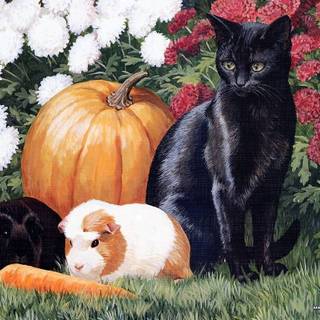 Guinea pig and cat wallpaper