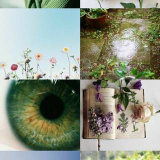Aesthetic collage spring wallpaper