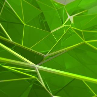 HP green wallpaper