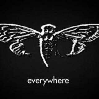 Cicada 3301 wallpaper