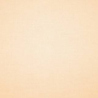 Skin colors wallpaper