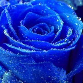 Blue stuff wallpaper