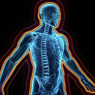 Immunology wallpaper