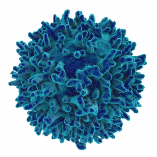 Immunology wallpaper