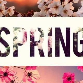 Girly spring wallpaper