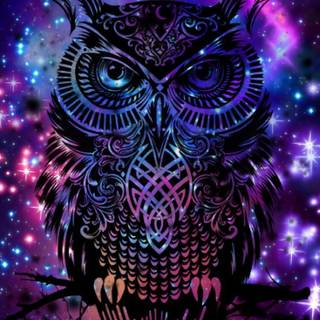 Galaxy owl wallpaper