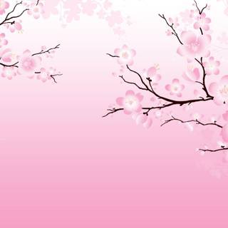 Japanese pink tree aesthetic wallpaper
