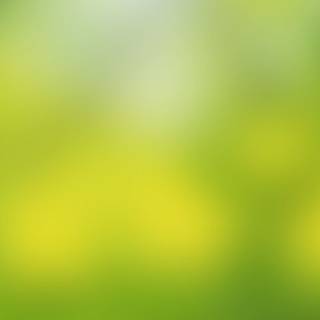 Green soft wallpaper