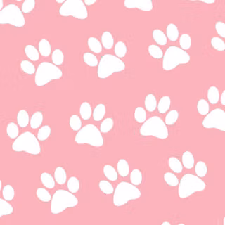 Dog paw wallpaper