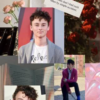 Stanley Uris wallpaper