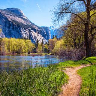 American spring wallpaper