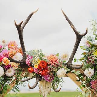 Deer antlers with flowers wallpaper