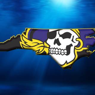 Pirate logo wallpaper