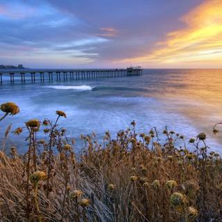 La Jolla wallpaper
