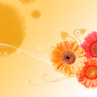 May flowers wallpaper