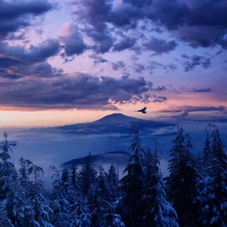 Dreamscape wallpaper