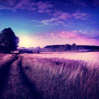 Dreamscape wallpaper