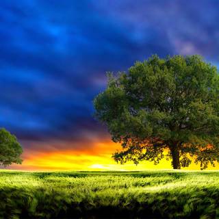 Dreamscape wallpaper