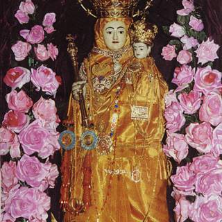 Velankanni wallpaper