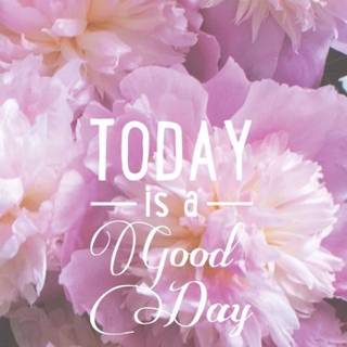 Spring inspiration wallpaper