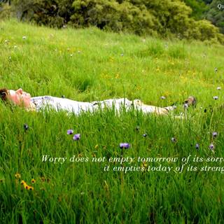 Spring inspiration wallpaper