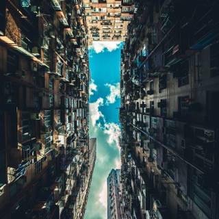 Perspective HD wallpaper