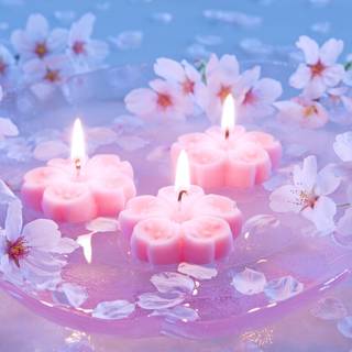 Spring candle wallpaper