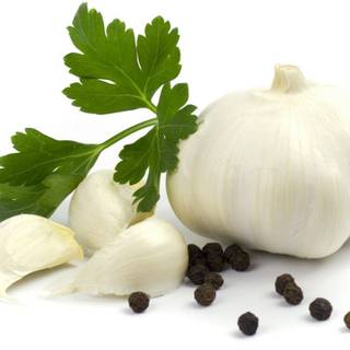 Coriander wallpaper