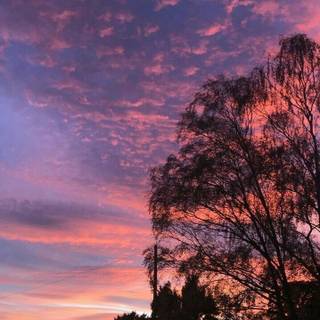 Morning aesthetic wallpaper